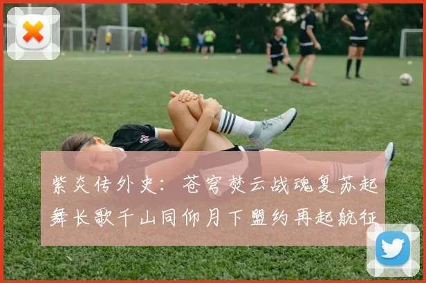 紫炎传外史：苍穹焚云战魂复苏起舞长歌千山同仰月下盟约再起航征