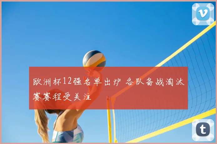 欧洲杯12强名单出炉 各队备战淘汰赛赛程受关注