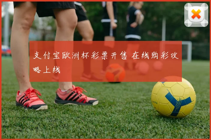 支付宝欧洲杯彩票开售 在线购彩攻略上线