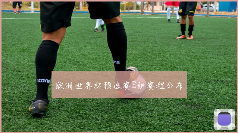 欧洲世界杯预选赛E组赛程公布