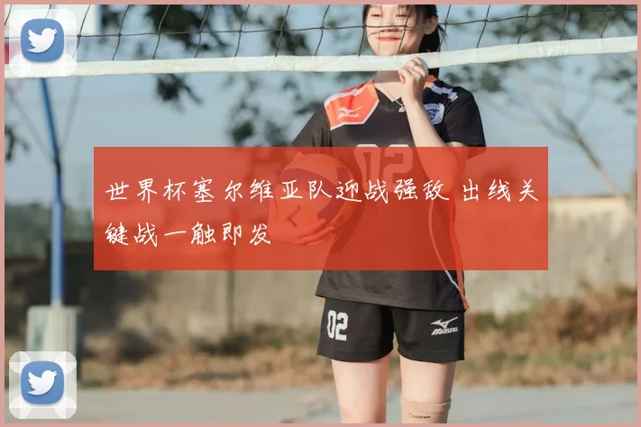 世界杯塞尔维亚队迎战强敌 出线关键战一触即发