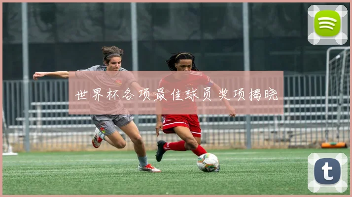 世界杯各项最佳球员奖项揭晓
