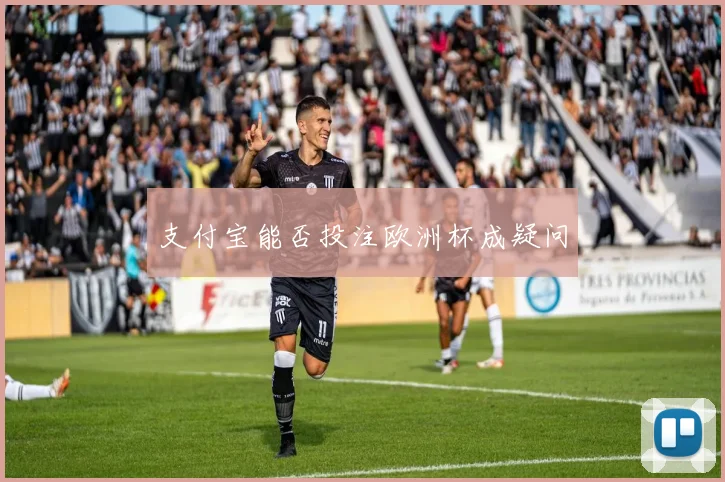 支付宝能否投注欧洲杯成疑问