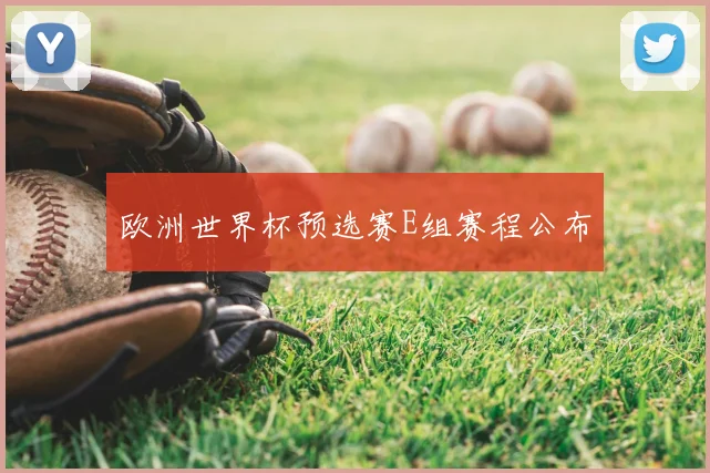 欧洲世界杯预选赛E组赛程公布