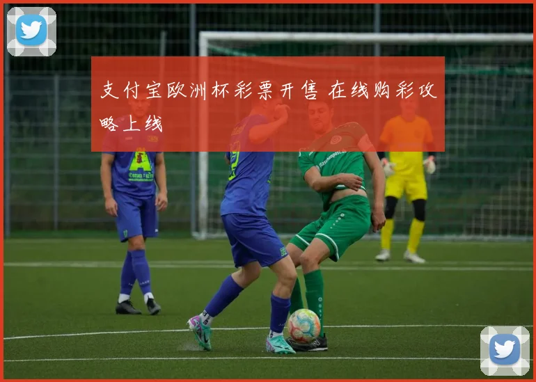 支付宝欧洲杯彩票开售 在线购彩攻略上线
