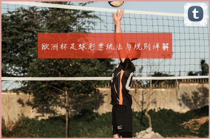 欧洲杯足球彩票玩法与规则详解