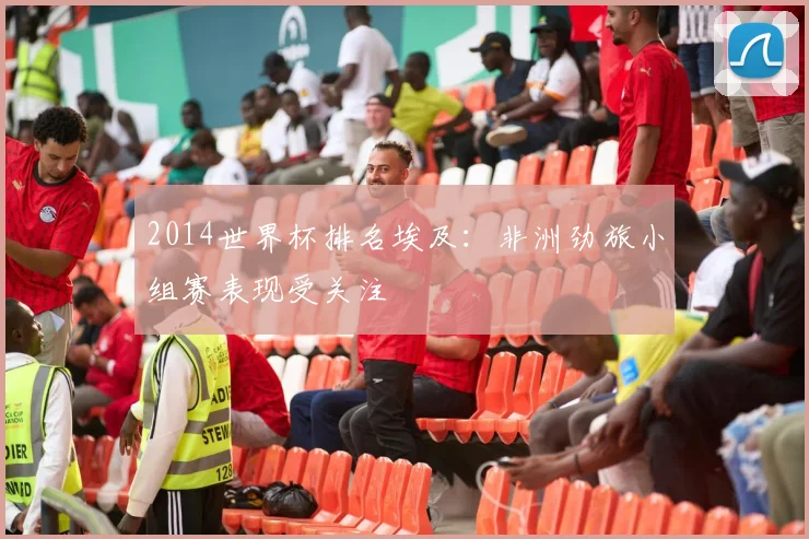 2014世界杯排名埃及：非洲劲旅小组赛表现受关注